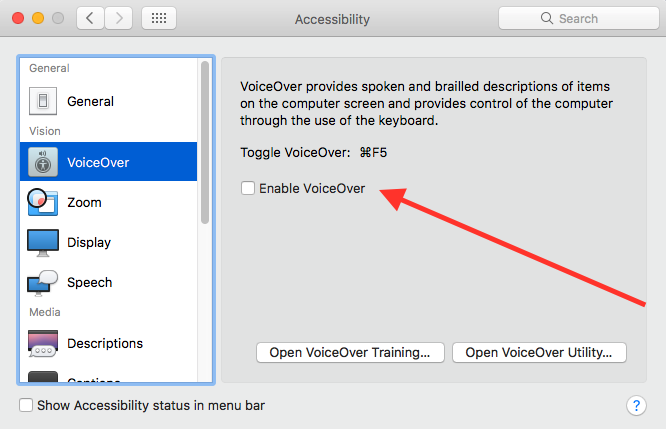 mac system preferences accessibility